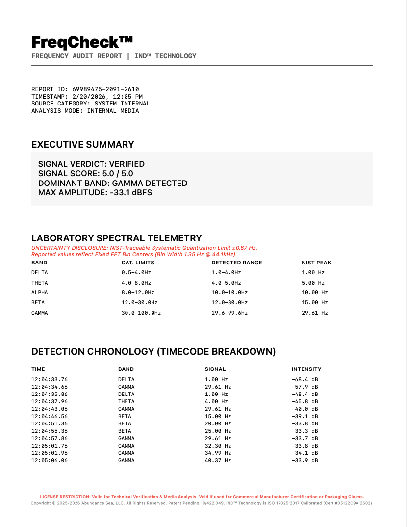 Audit Report Page 1